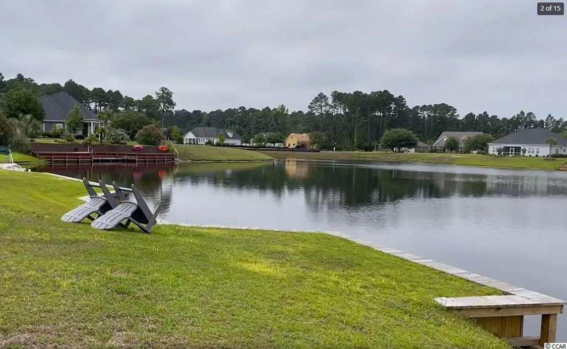 1113 Glossy Ibis Dr. - Photo 1