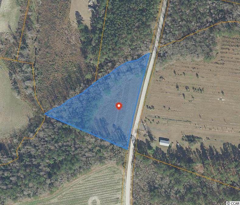 TBD Black Bird Rd. - Photo 1