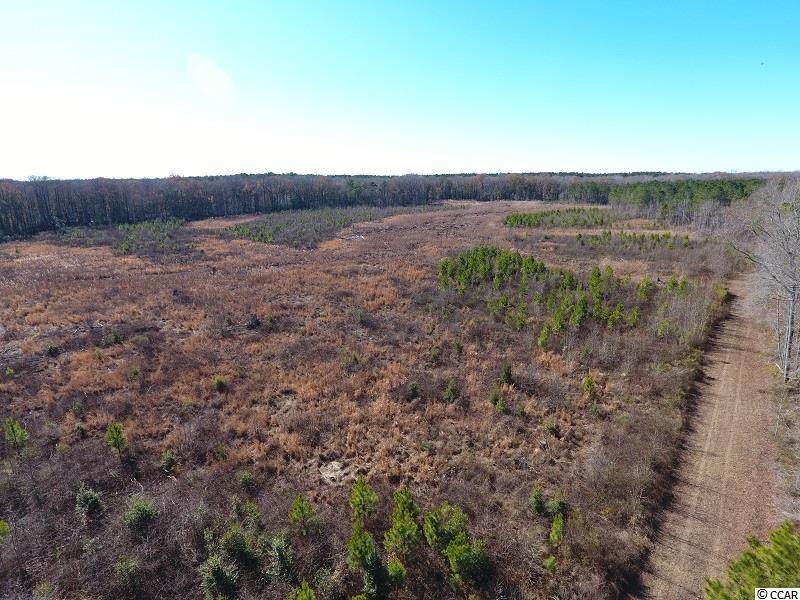 Off Garland Highway - Photo 1