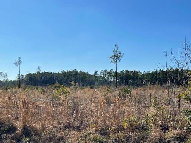 TBD Cheyenne Rd. - Photo 1