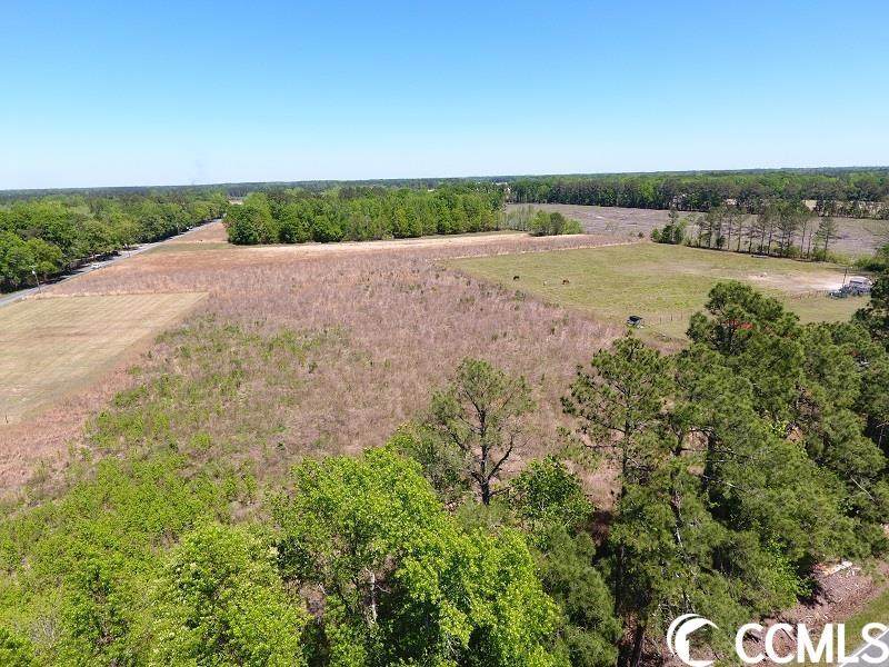 Lot 16 Hebron Dunbar Rd., SC 29512 (MLS 2307401) The