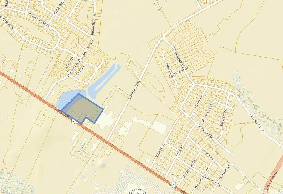 2430 Highway 501 - Photo 1
