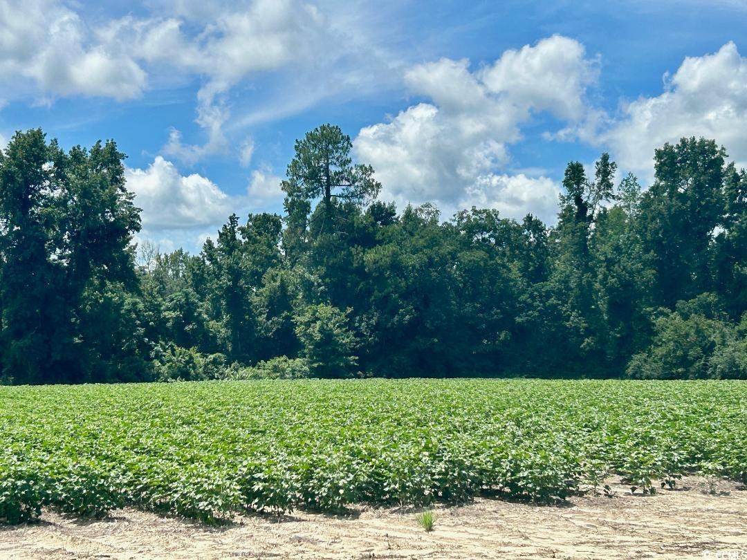 2909 Bell Rd. - Photo 1