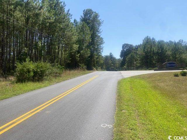 000 Silver Creek Ln. - Photo 1