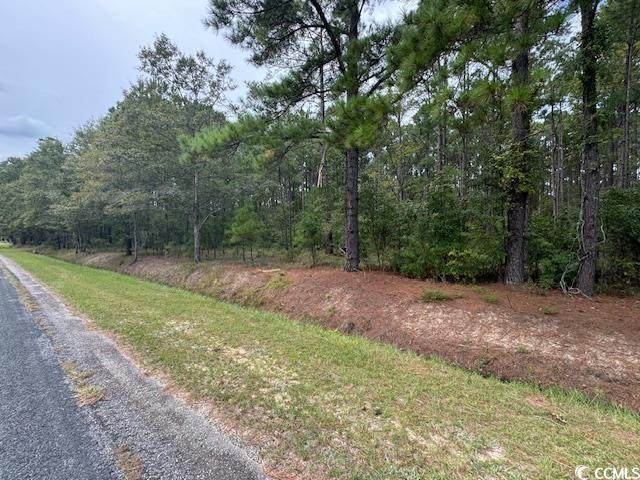 TBD Salem Rd. - Photo 1