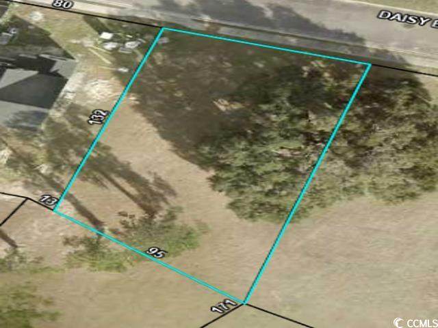 Lot 12 Daisy Bank Circle - Photo 1