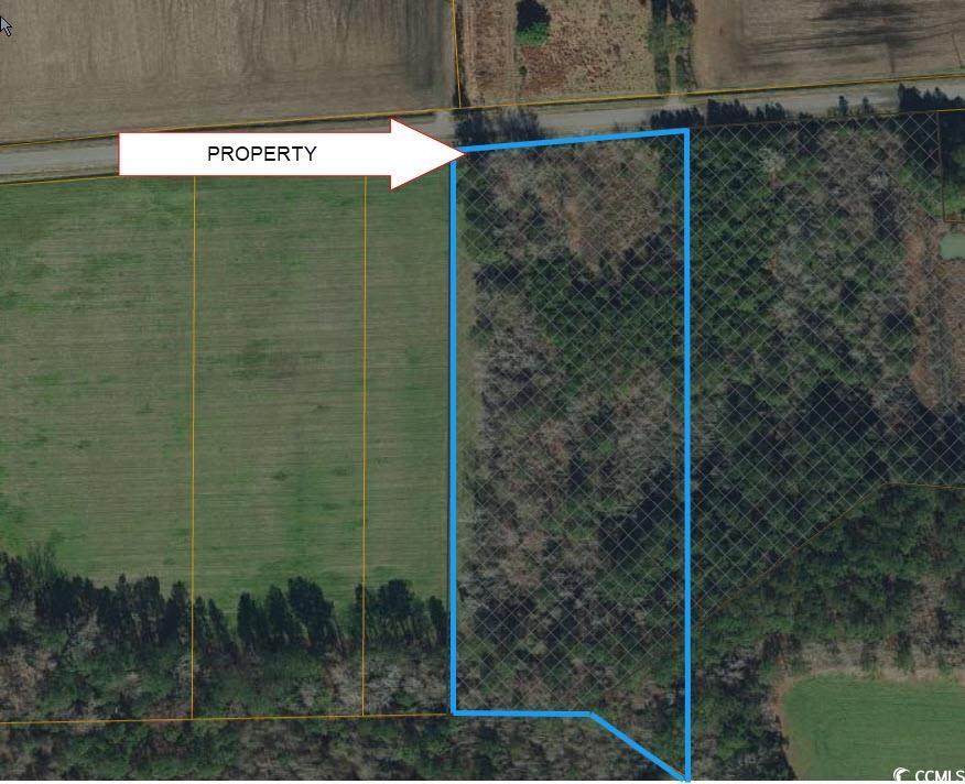 LOT 6 Tract B Oak Grove Church Rd. - Photo 1