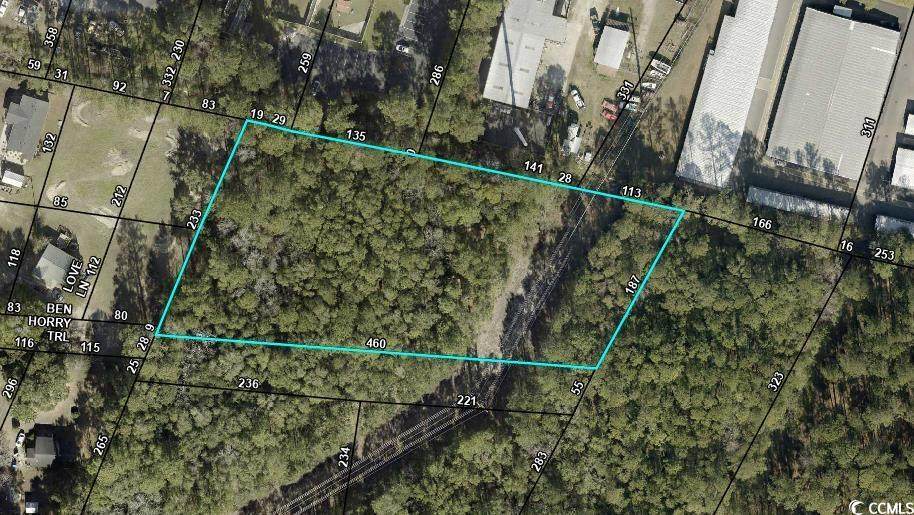 135 Ben Horry Trail - Photo 1