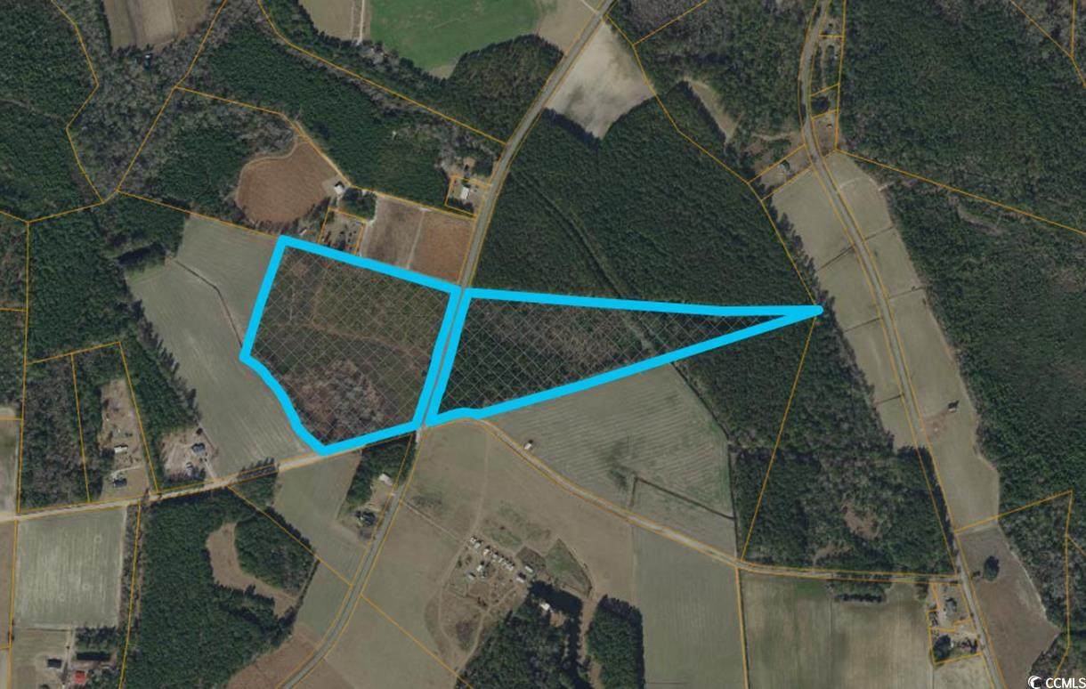 TBD11X Nichols Hwy. - Photo 1