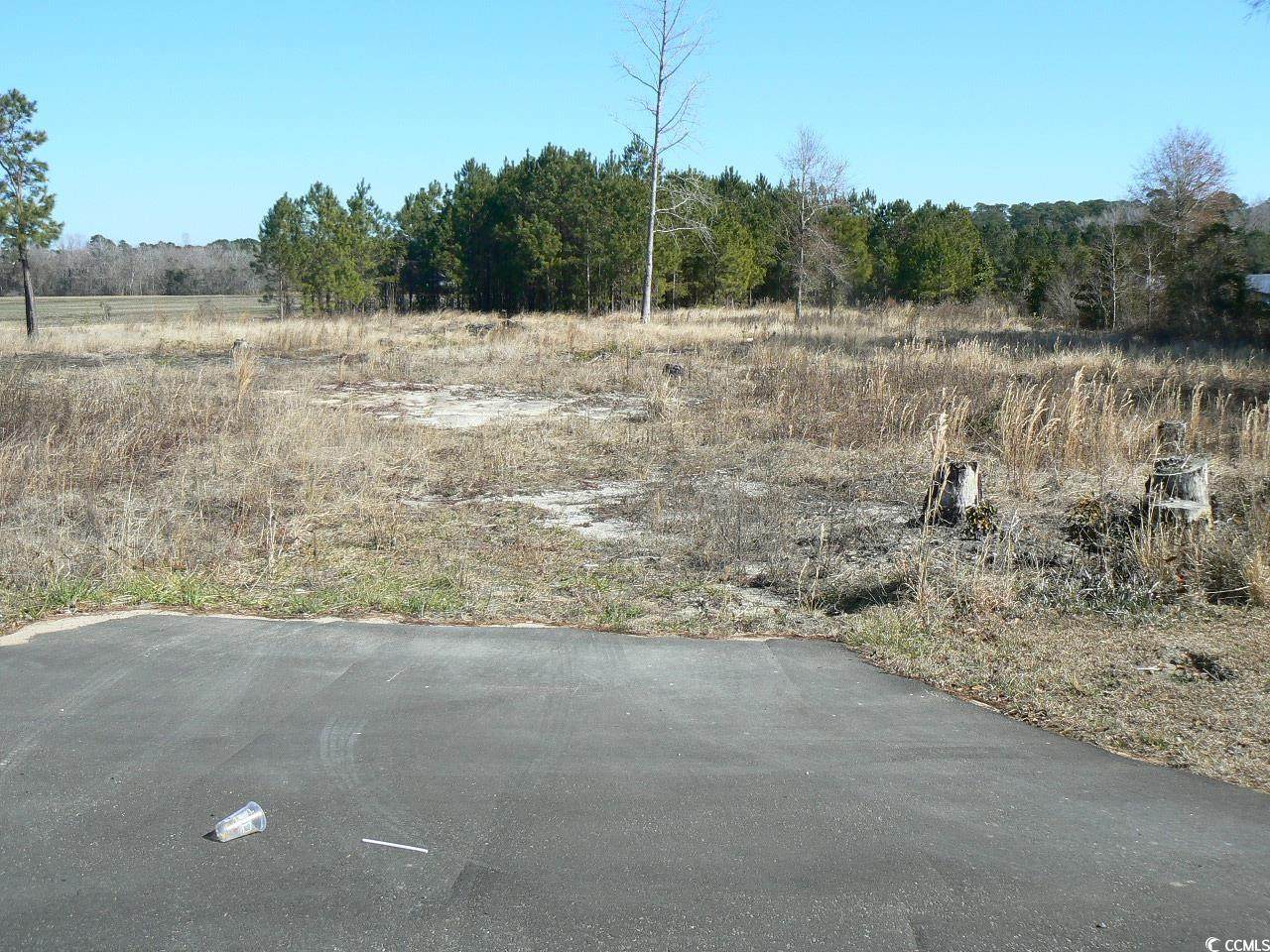 TBD Red Bluff Rd. - Photo 1
