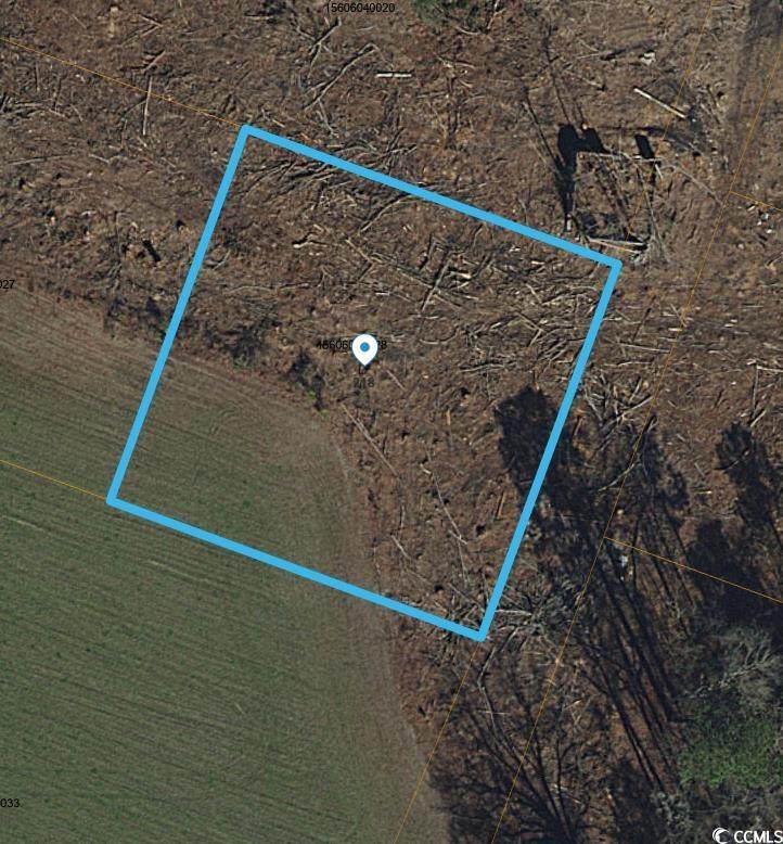 218 Eva Dr. - Photo 1