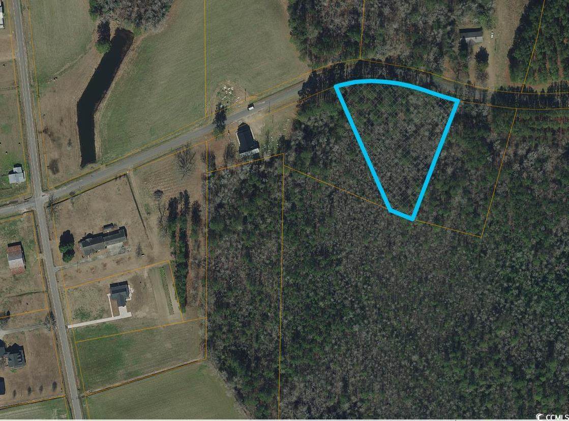 TBD Long Branch Swamp Rd. - Photo 1