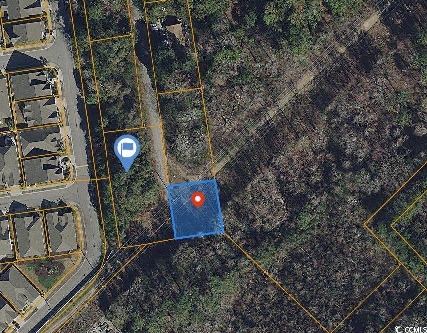 1505 Buffkin Rd. - Photo 1