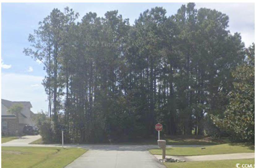 809 Edisto River Rd. - Photo 1