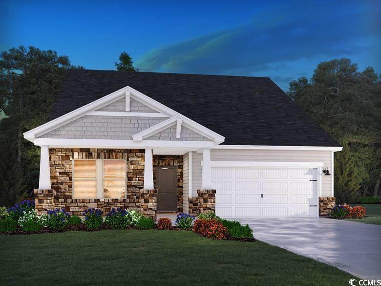 1558 Regal Fern Way - Photo 1