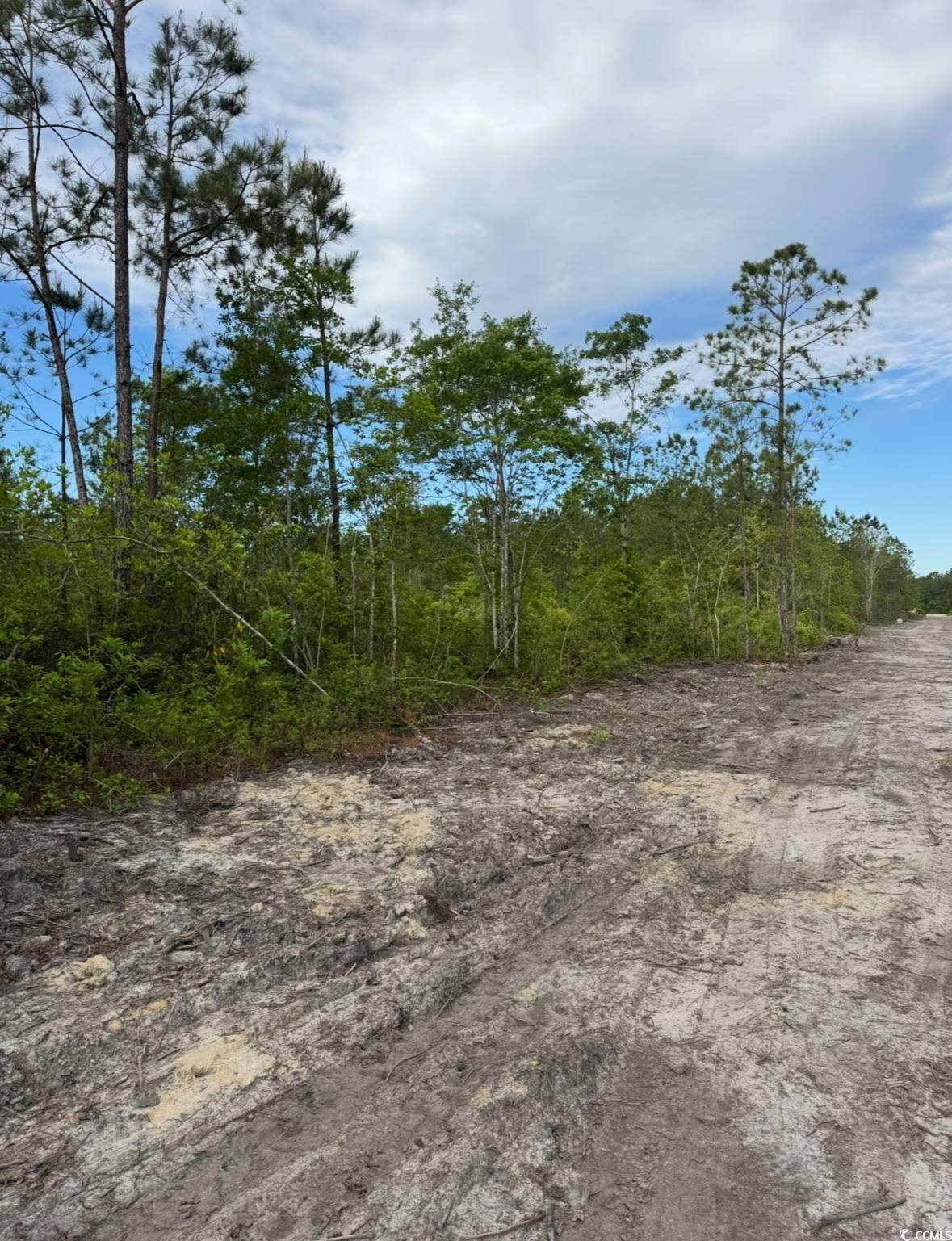 3204 Fowler School Rd. - Photo 1