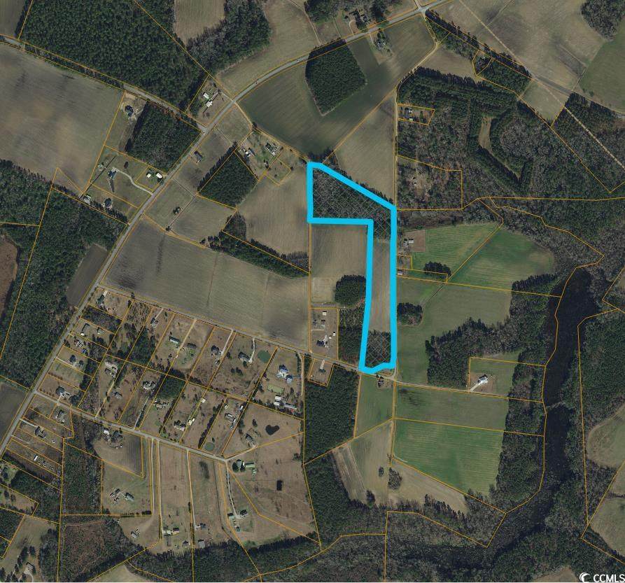 TBD Birchfield Dr. - Photo 1