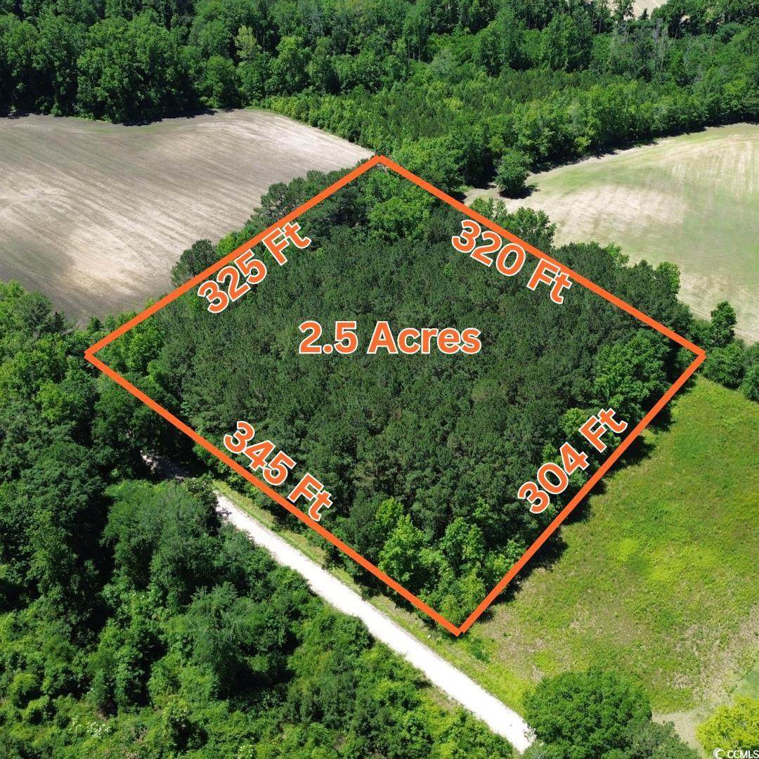 TBD Sparrow Ln. - Photo 1