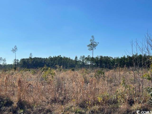 1279 Cheyenne Rd. - Photo 1