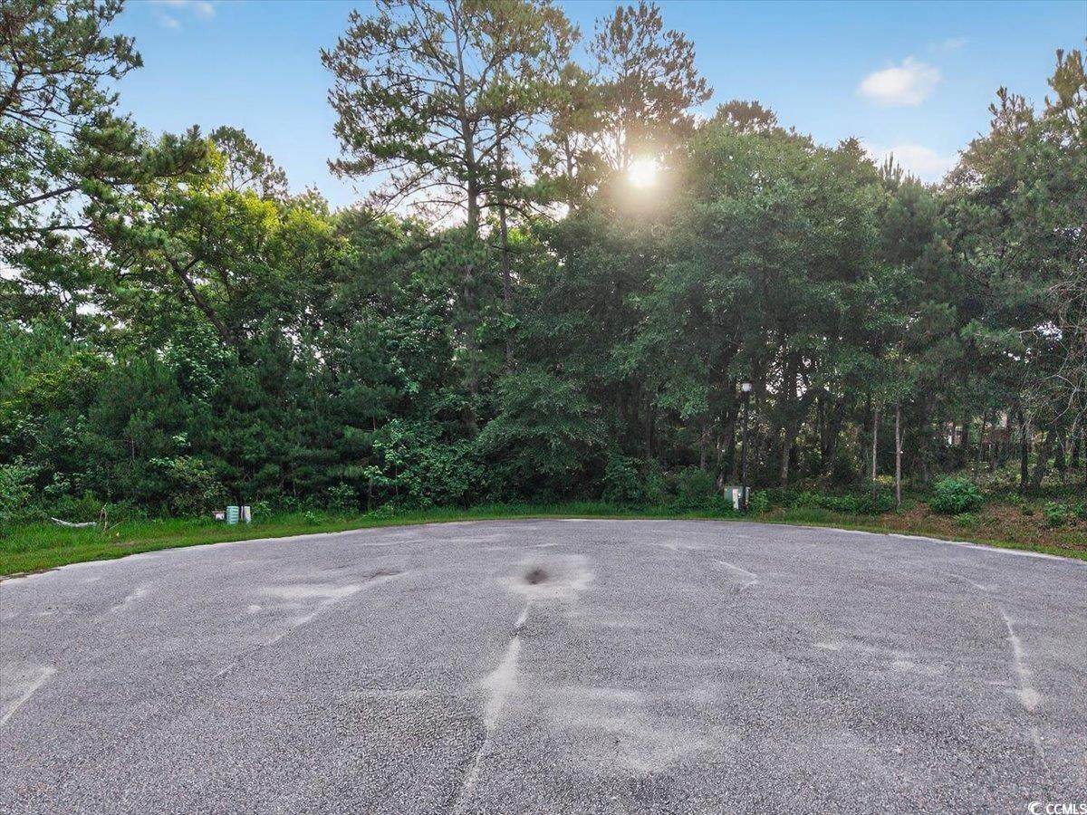 8940 Tranquility Ln. - Photo 1