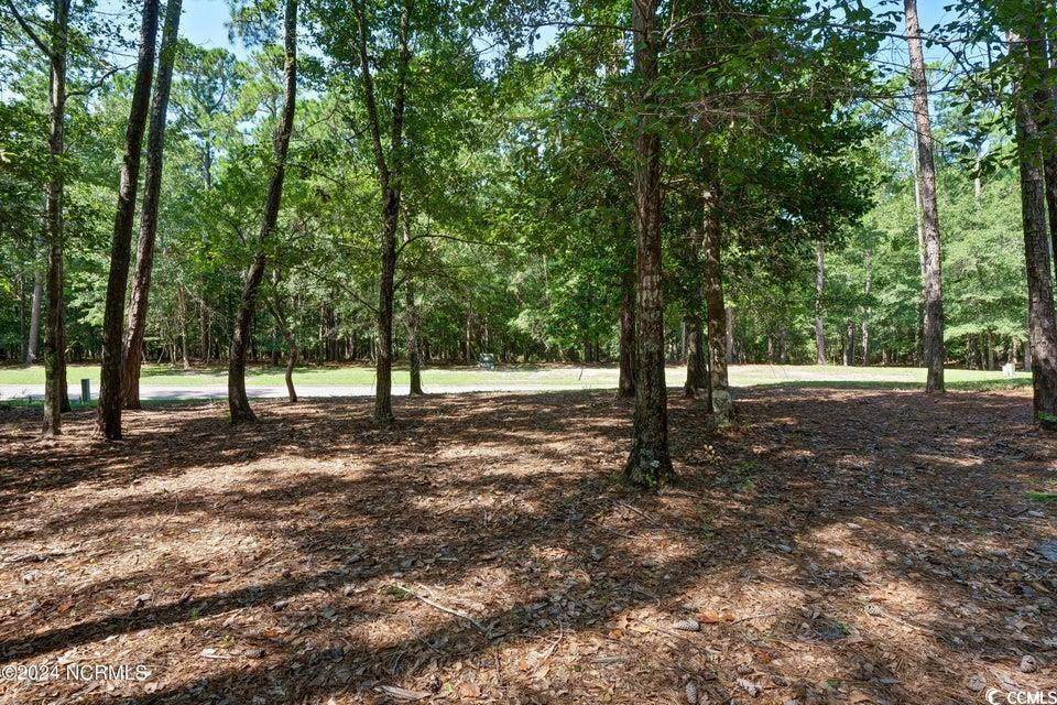 2161 Arnold Palmer Dr. - Photo 1