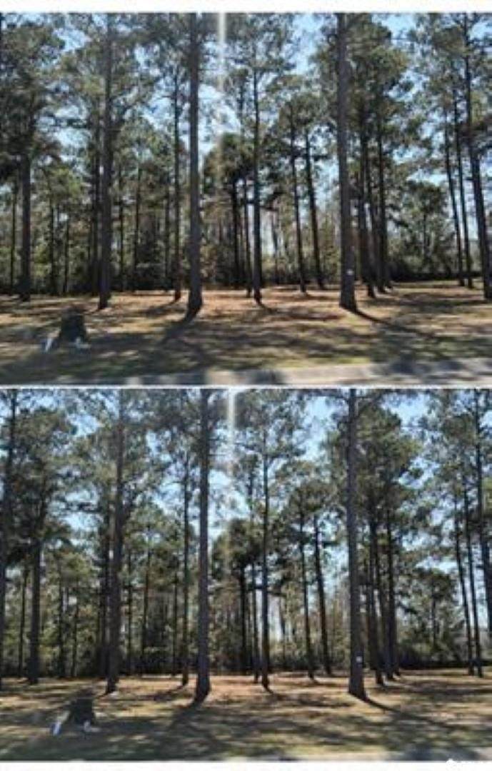 1152 Fiddlehead Way - Photo 1