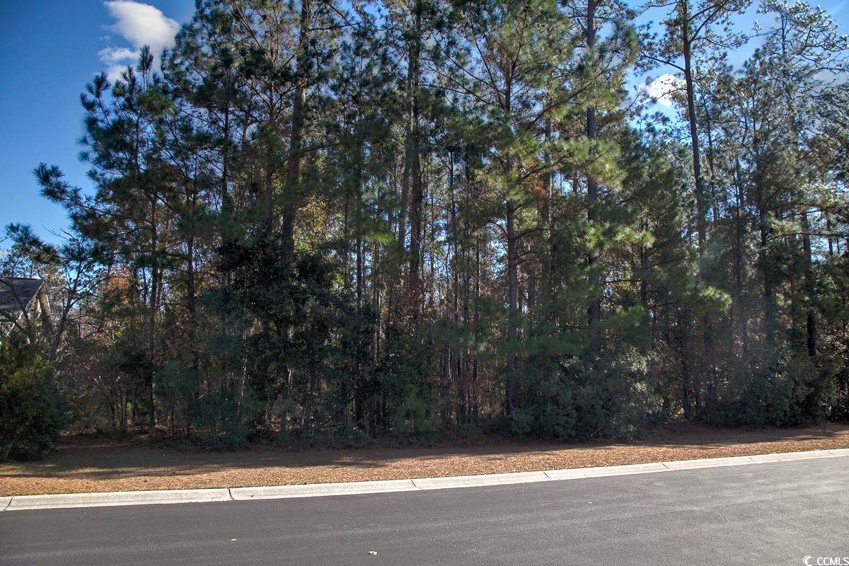 172 Low Country Loop - Photo 1