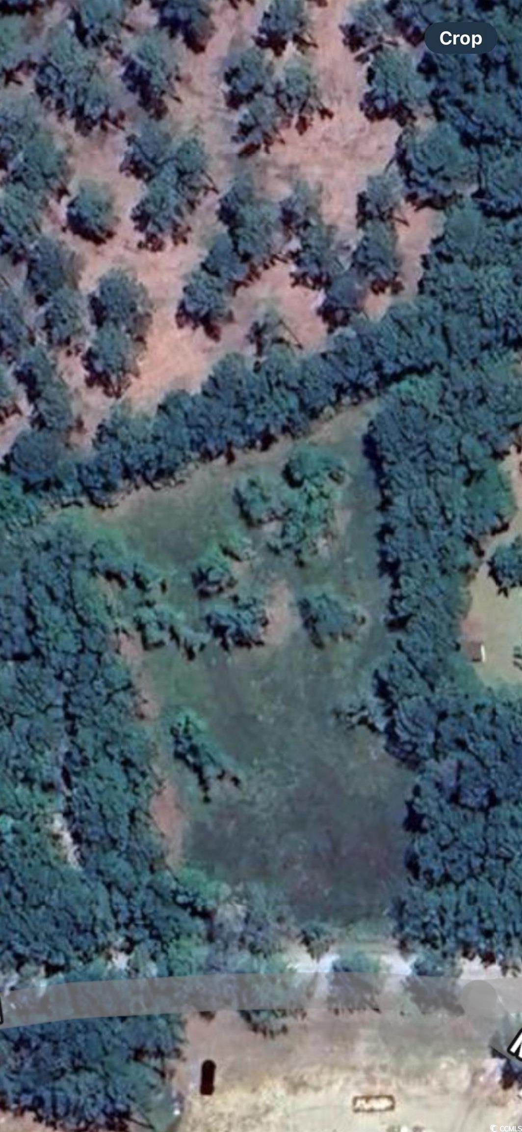 722 Romain Rd. - Photo 1