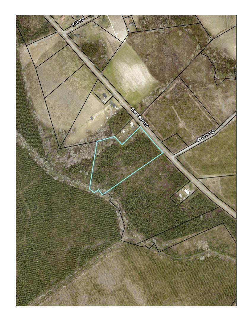 19241 Choppee Rd. - Photo 1