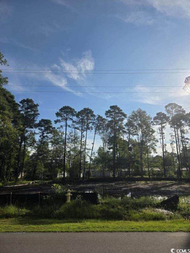 63 Pinewood Dr. - Photo 1