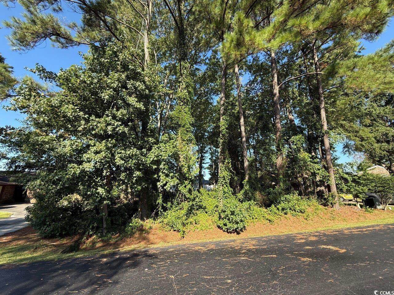 Lot 547 Circle Dr. - Photo 1
