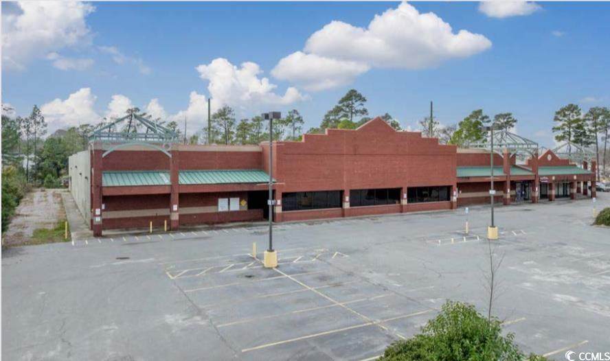 1009 Highway 501 - Photo 1