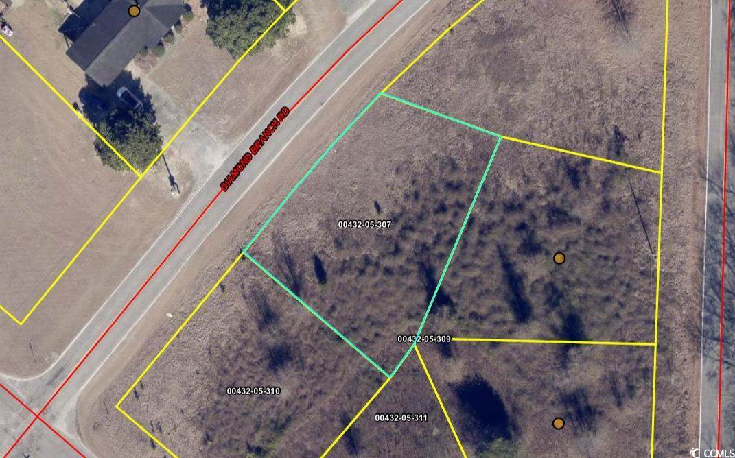 114 Diamond Branch Rd. - Photo 1