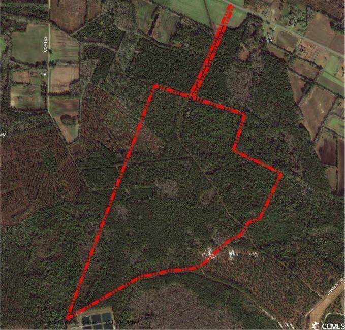 TBD 181.2 acres Coates Rd. - Photo 1