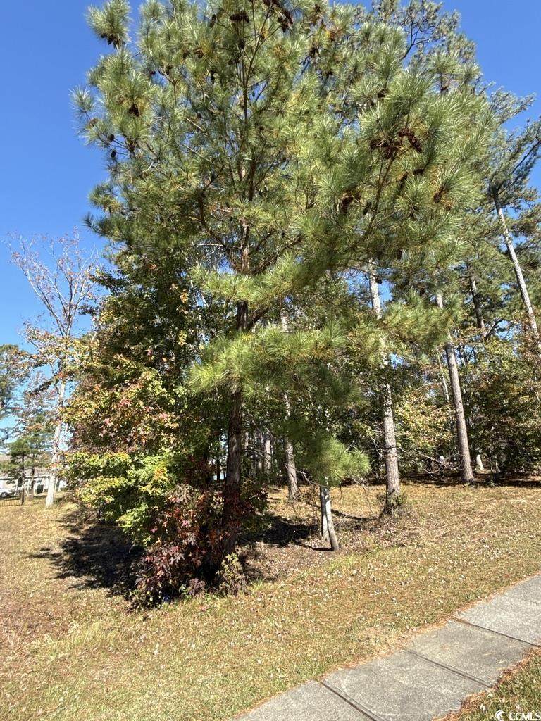 2405 Gist Ln. - Photo 1