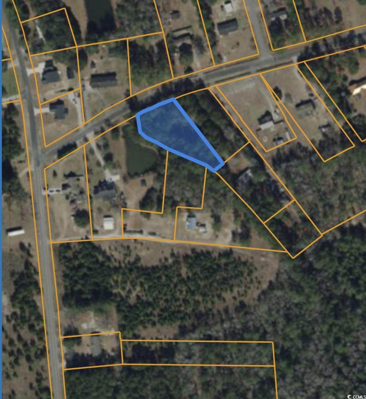 Lot 1 Goretown Loop - Photo 1