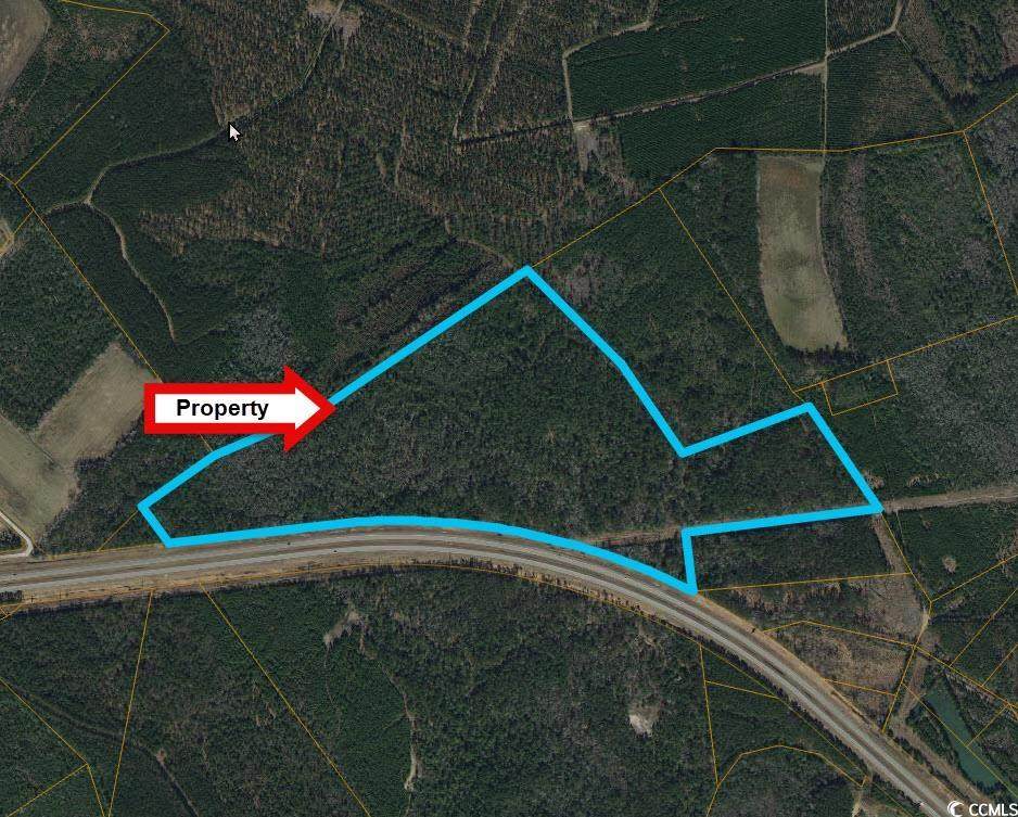 TBD Roanoke Rd - Photo 1