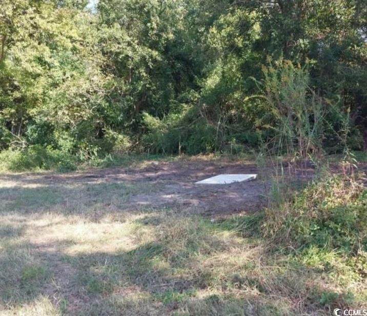 lot 1 Davis Lane - Photo 1