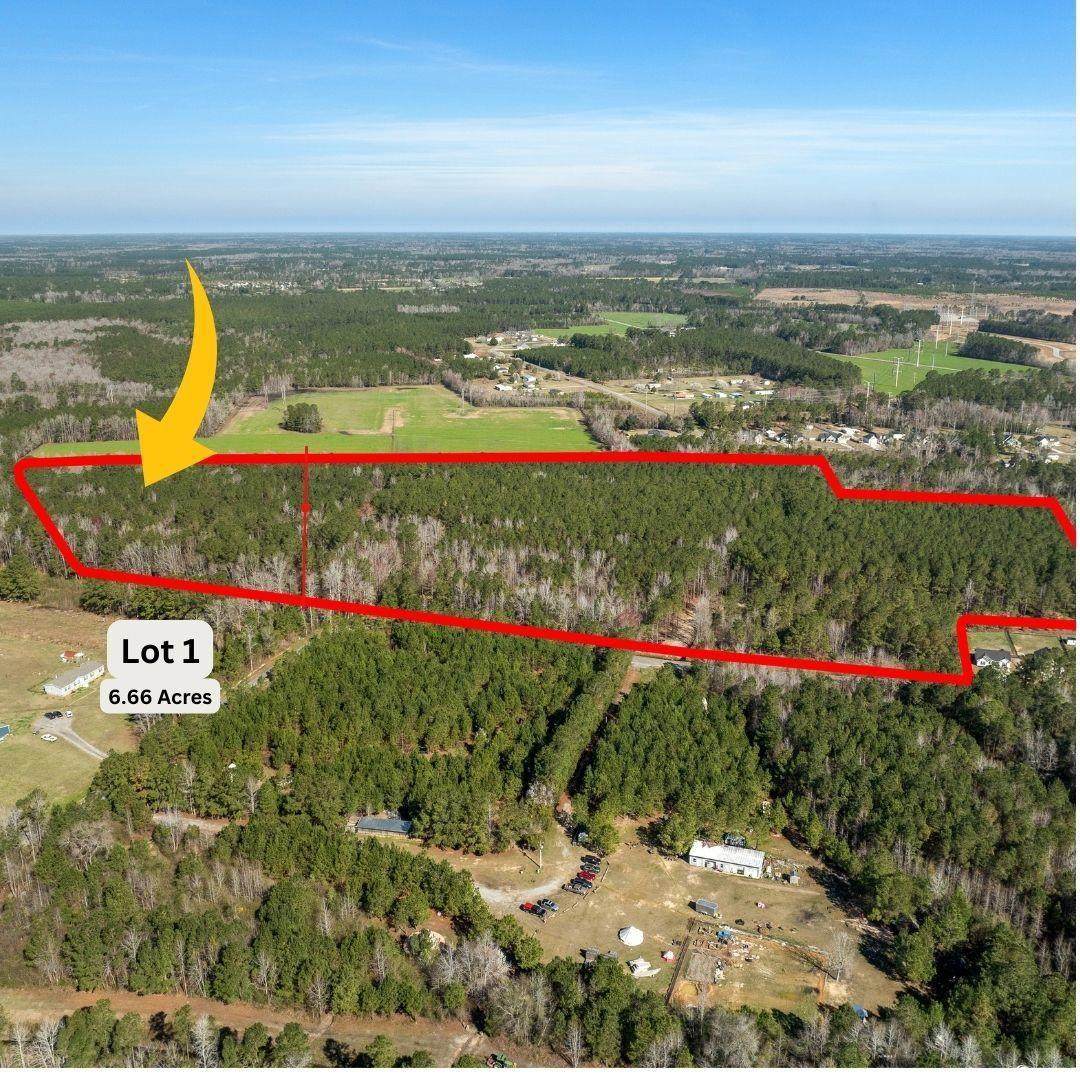 TBD Lot 1 Daphane Dr. - Photo 1
