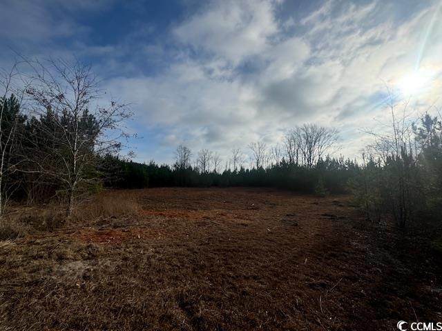 TBD Lake Circle - Photo 1