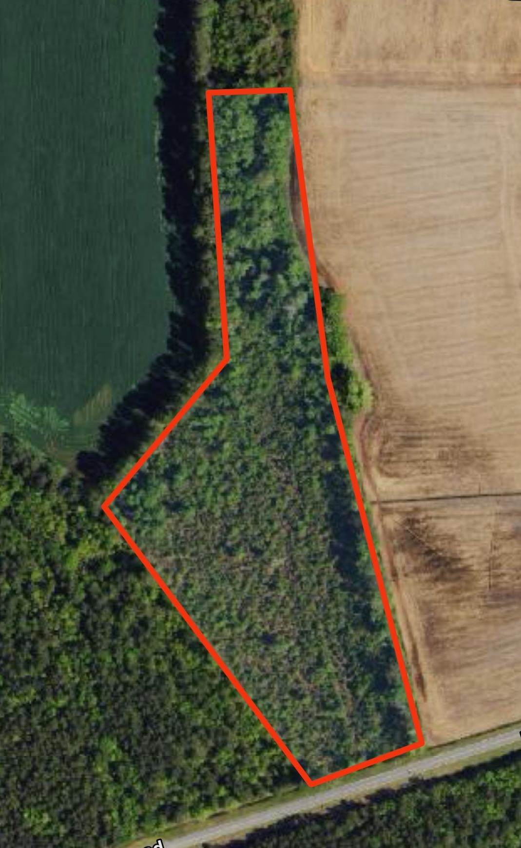 tbd Pinckney Rd. - Photo 1