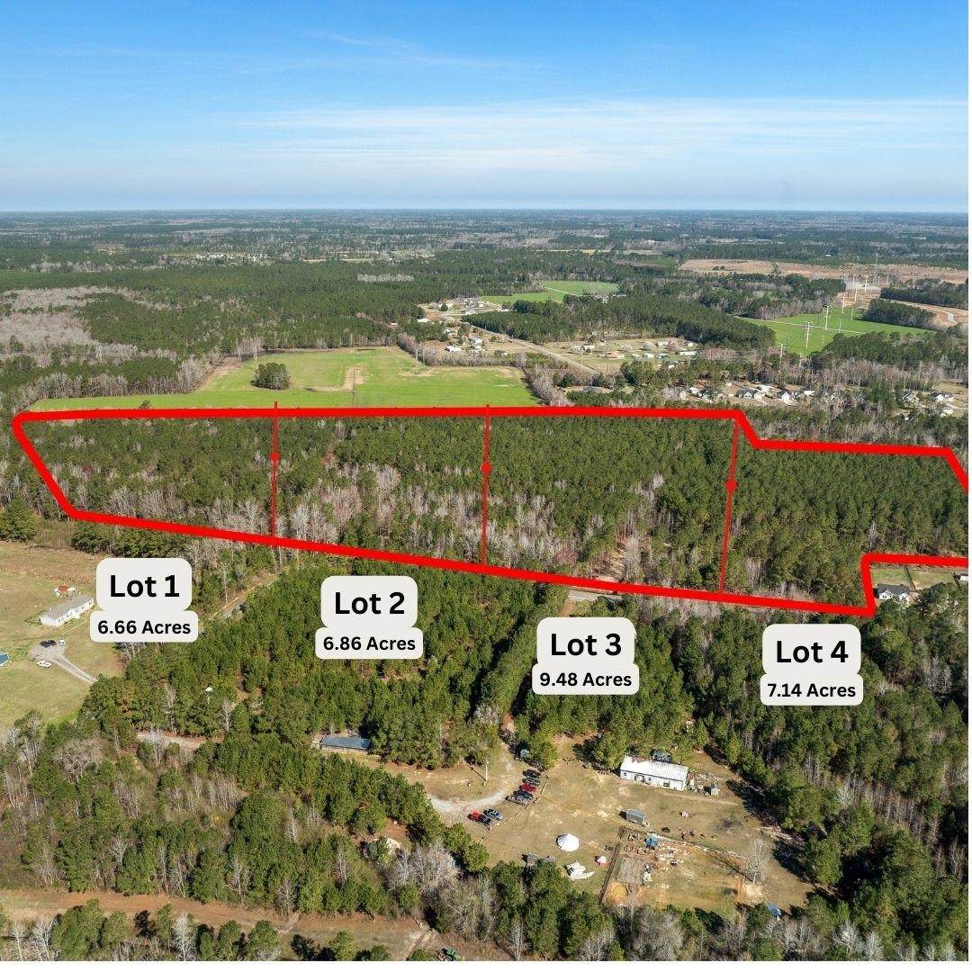 TBD Lot 1 & 2 Daphane Dr. - Photo 1