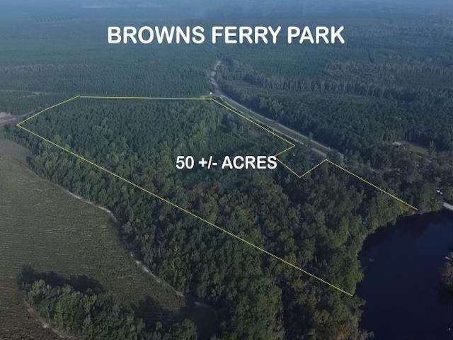 TBD Browns Ferry Rd. - Photo 1
