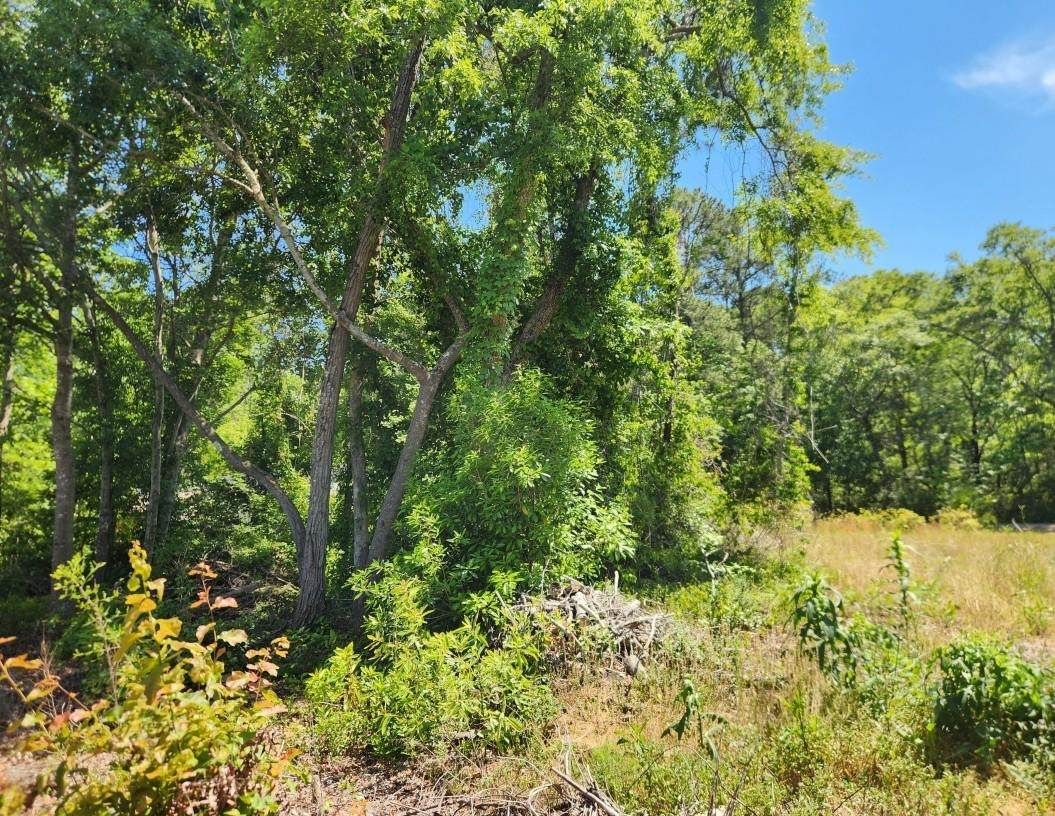 9 Ditch Digger Ln. - Photo 1