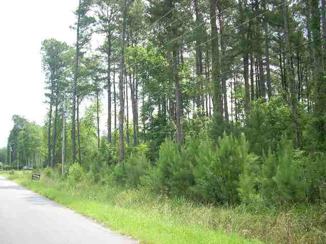 Lot 2 Shady Branch Rd. - Photo 1 Lot 2 Shady Branch Rd. - Photo 1