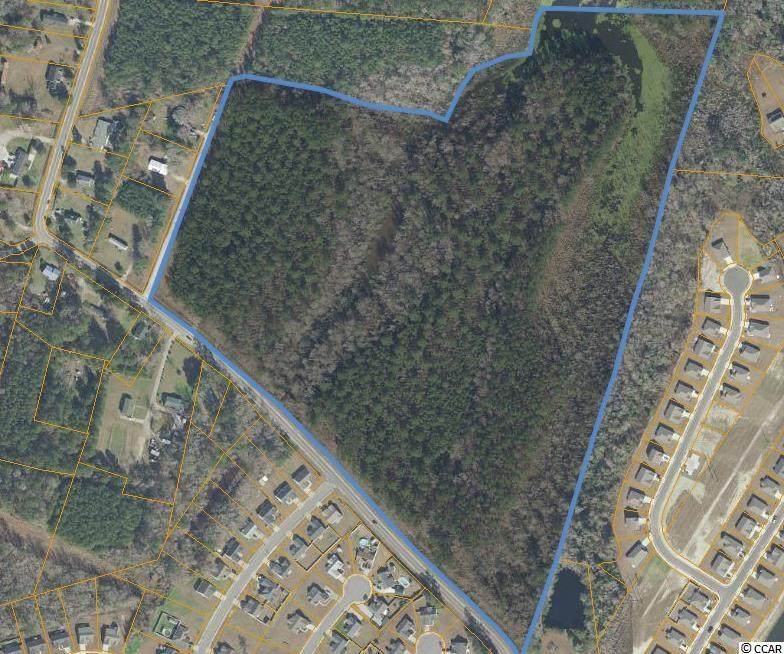 TBD Hemingway Chapel Rd. - Photo 1