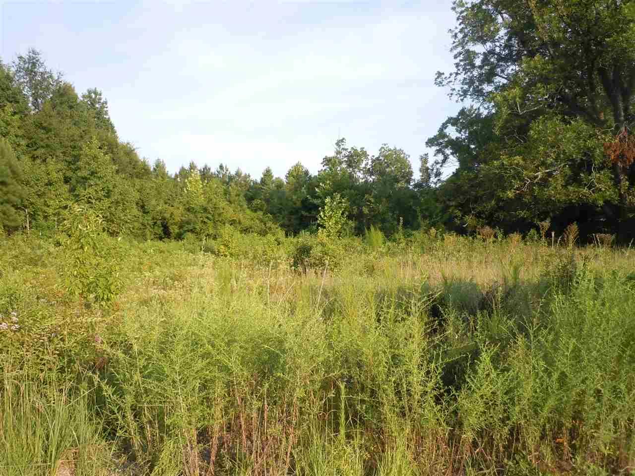 TBD -Side 347 - Photo 1