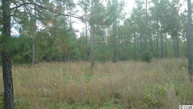 Lot 10 Samworth Loop - Photo 1