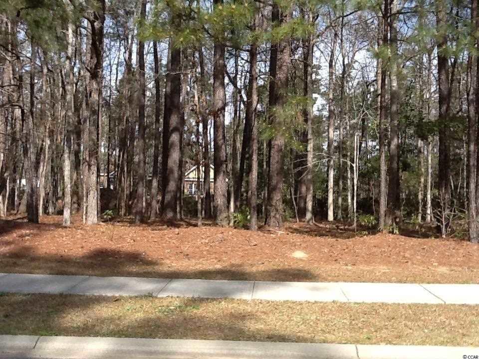 LOT 419 Henagan Ln. - Photo 1