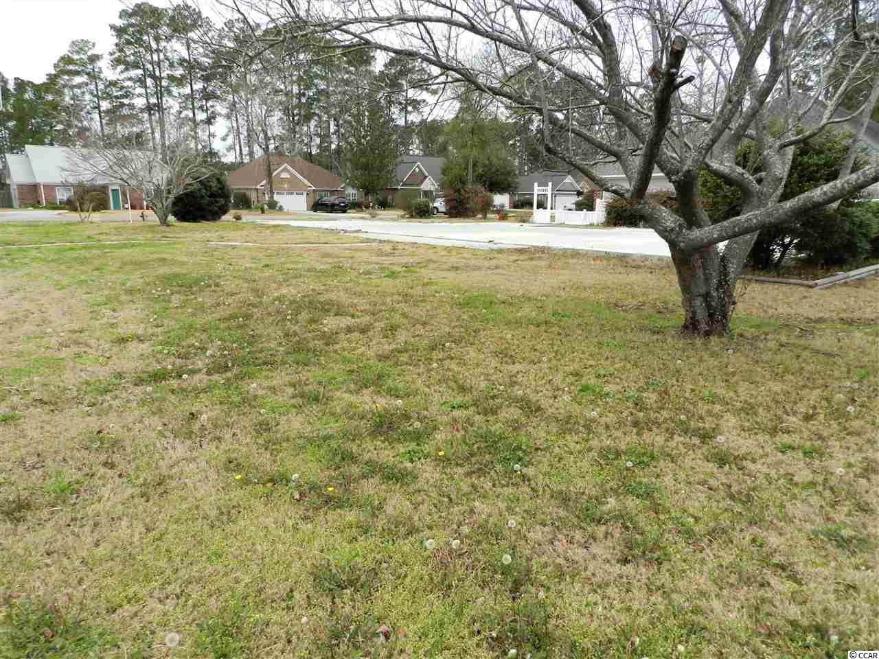 4273 Arabella Way - Photo 1